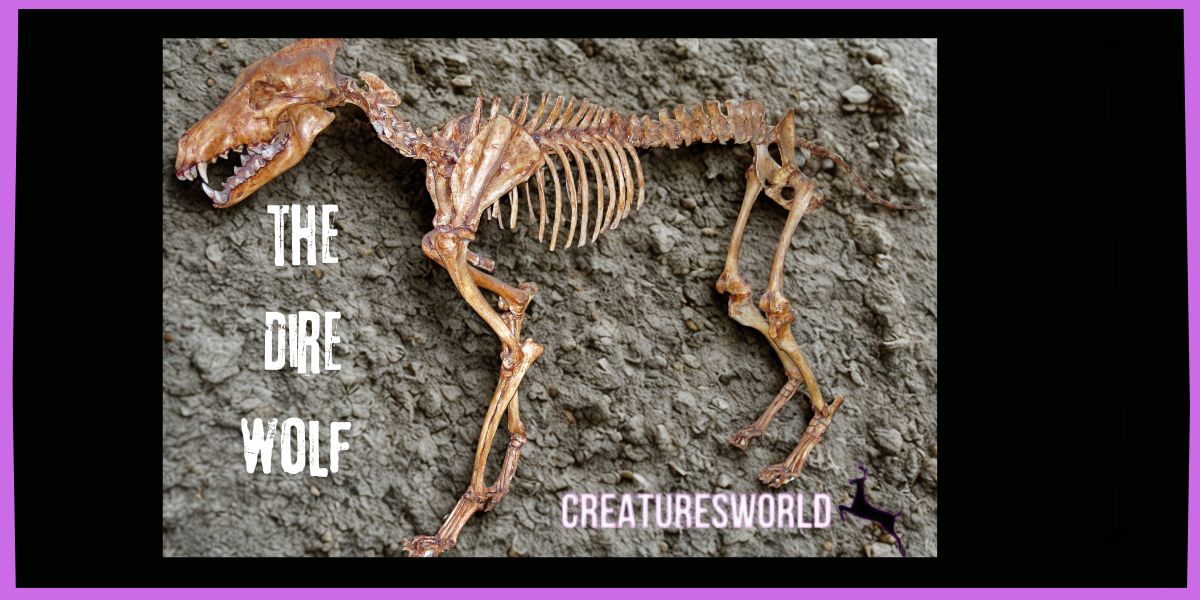 The Dire Wolf