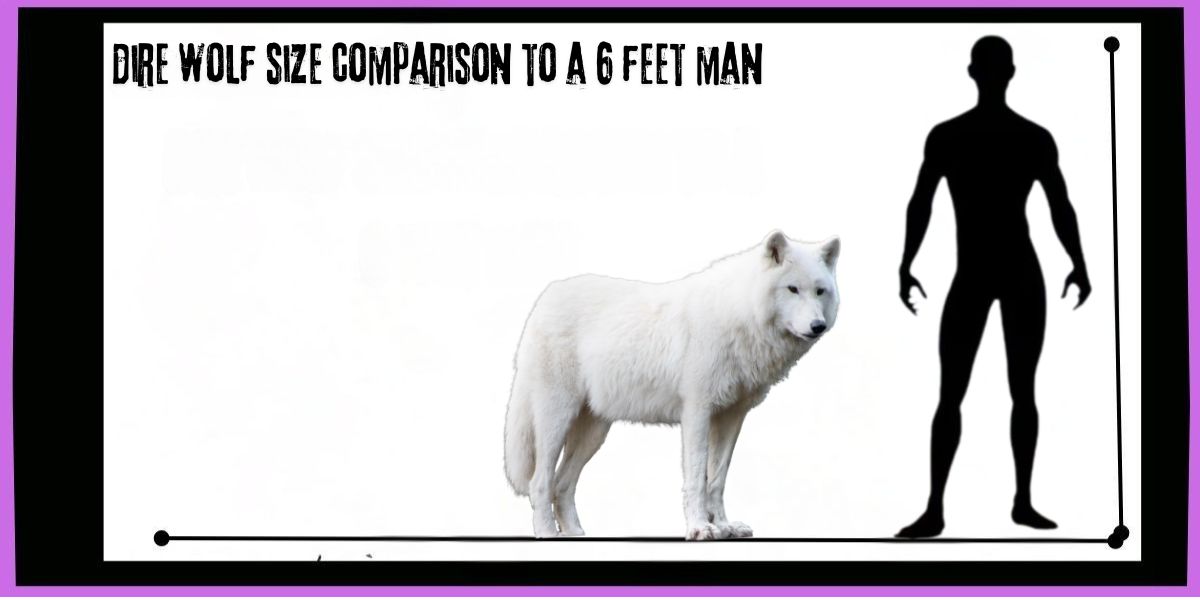 The Dire Wolf