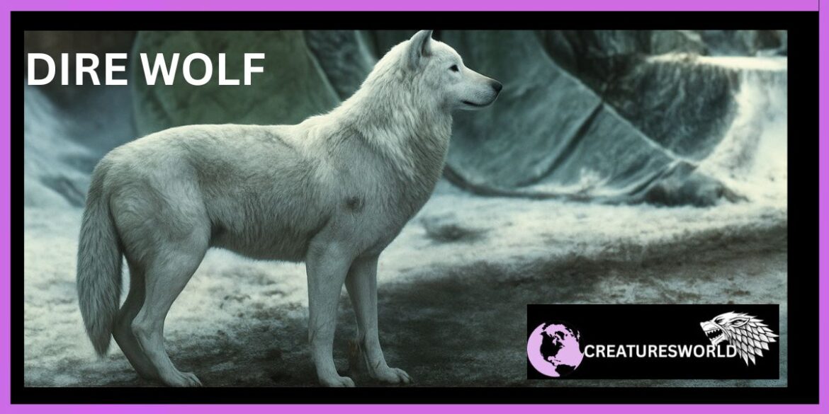 Dire Wolf