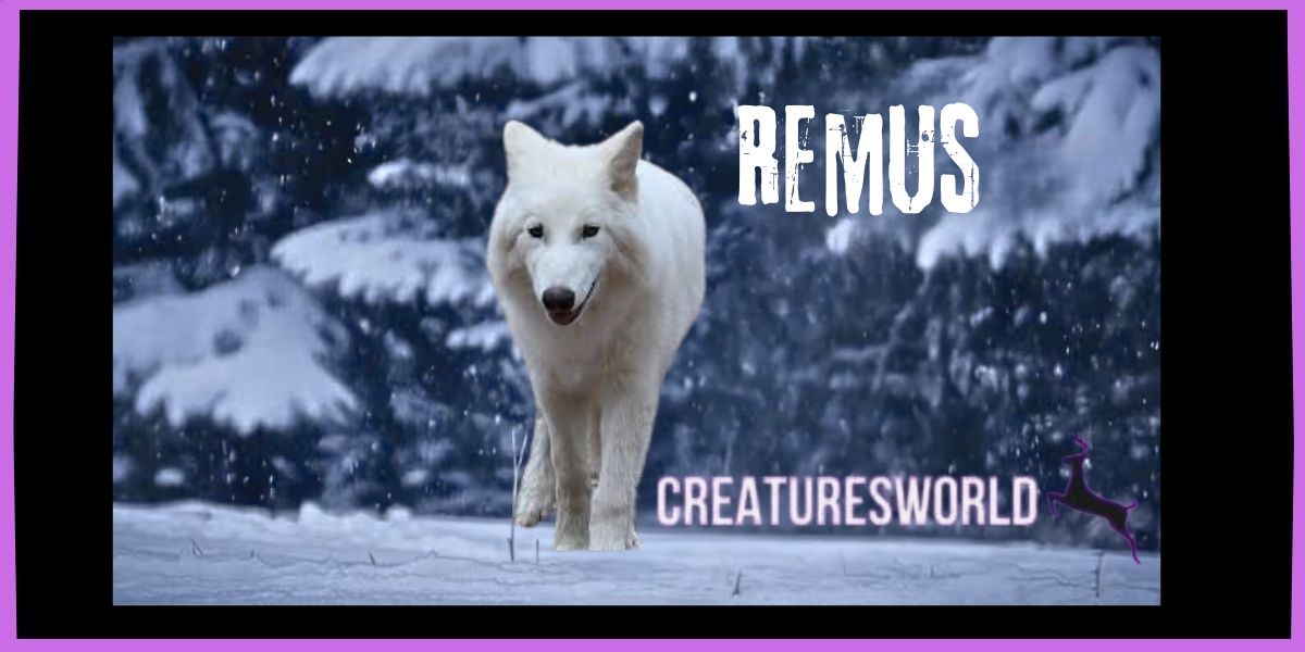 Game of Genes Dire Wolves Return in Spirit