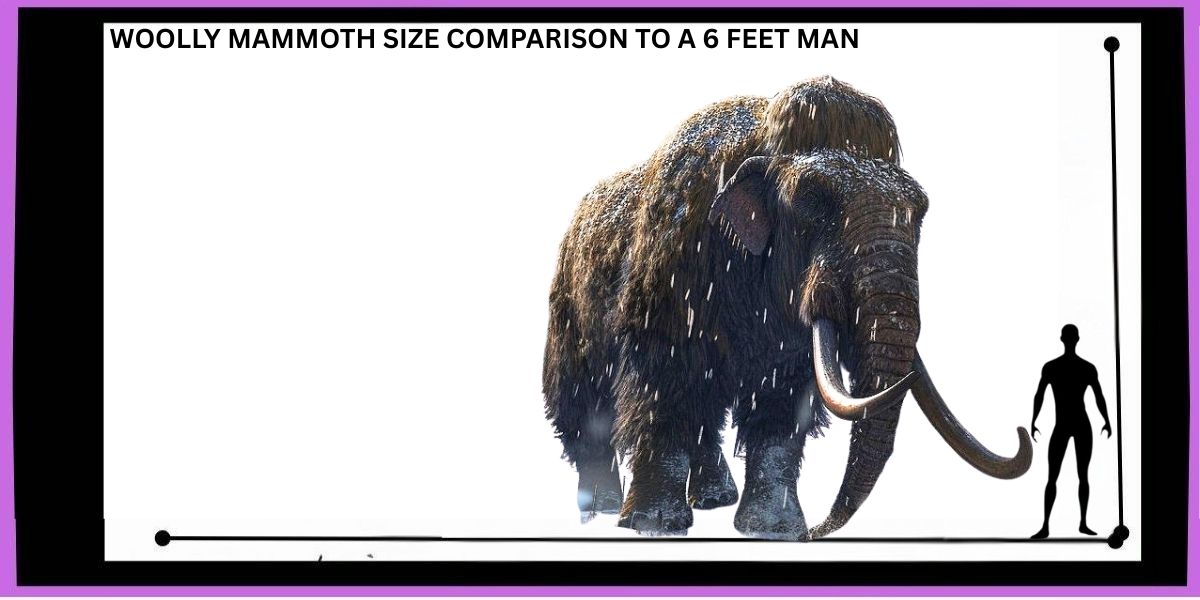 Woolly Mammoth 