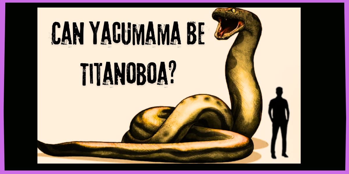 Yacumama The Legendary Monstrous Snake 