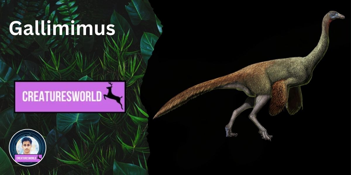 Gallimimus