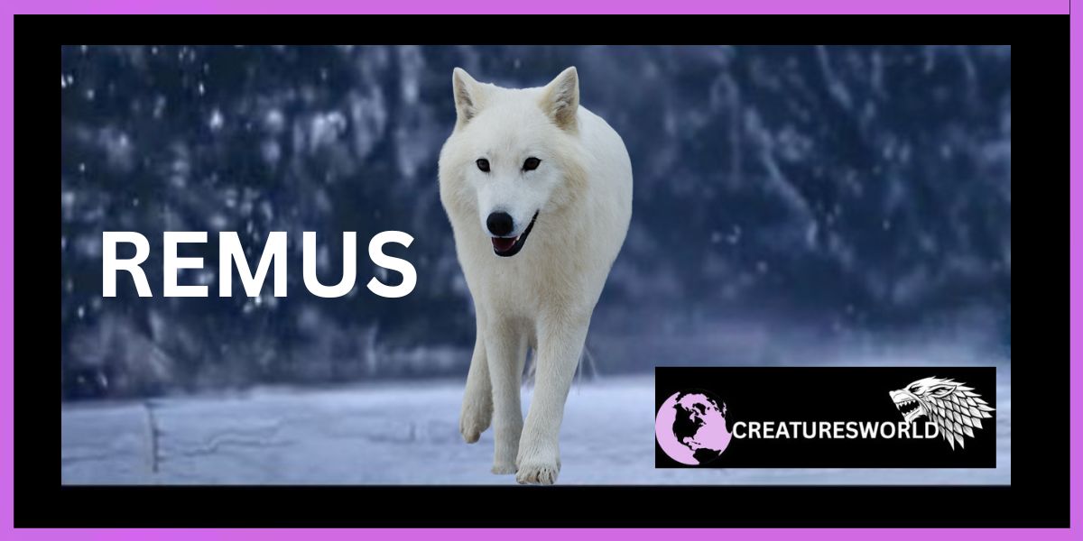 Games of Genes Dire Wolves return